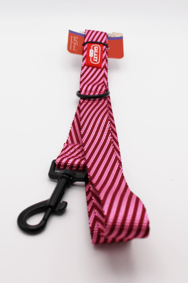 Hundeleine 120 cm – 15 mm, 20 mm, 25 mm Breite | Handschlaufe | Farblich passende Geschirre erhältlich 5 21166_3