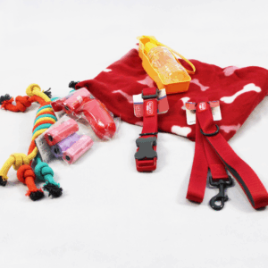 Activ_Set_2