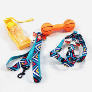 Outdoor Set Basic 4 für Hunde | Größe M - L | Mit Leine, Geschirr & Zubehör für unterwegs