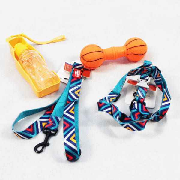 Outdoor Set Basic 4 für Hunde | Größe M - L | Mit Leine, Geschirr & Zubehör für unterwegs