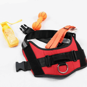Outdoor Set Basic 3 für Hunde | Größe S - M - L | Mit Leine, Geschirr & Zubehör für unterwegs