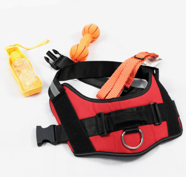 Outdoor Set Basic 3 für Hunde | Größe S - M - L | Mit Leine, Geschirr & Zubehör für unterwegs
